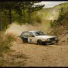 CW Triestingtal Rally 2009 018